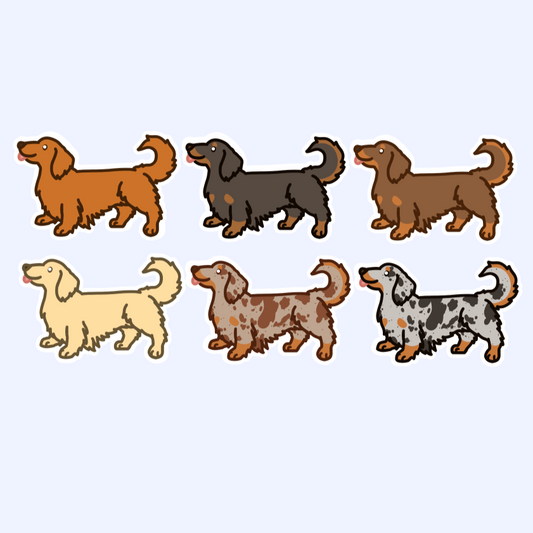 Longhair Wiener Dog Dachshund Sticker - 3" Waterproof Sticker