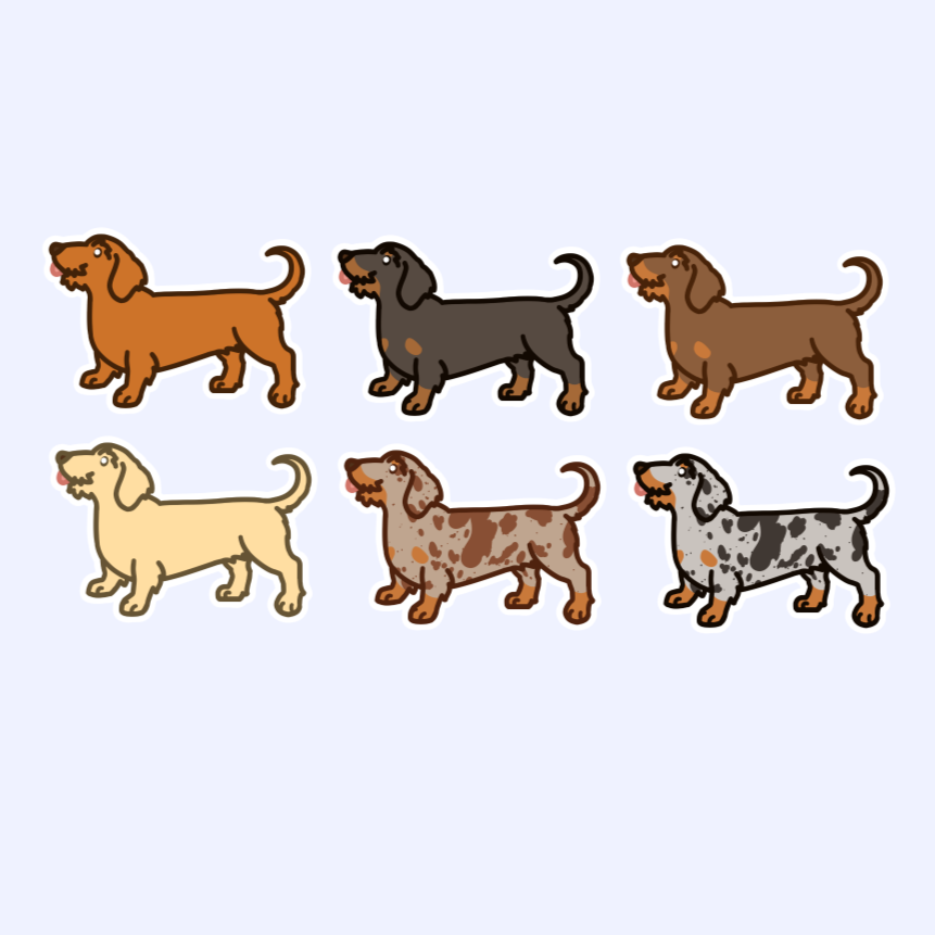 Wirehair Wiener Dog Dachshund Sticker - 3" Waterproof Sticker