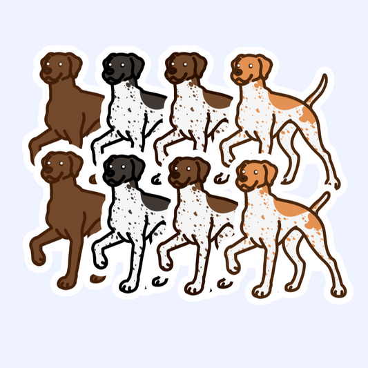 German Shorthair Pointer, English Pointer Sticker Pudelpointer Pointing Griffon - 3" Pointer Dog Sticker