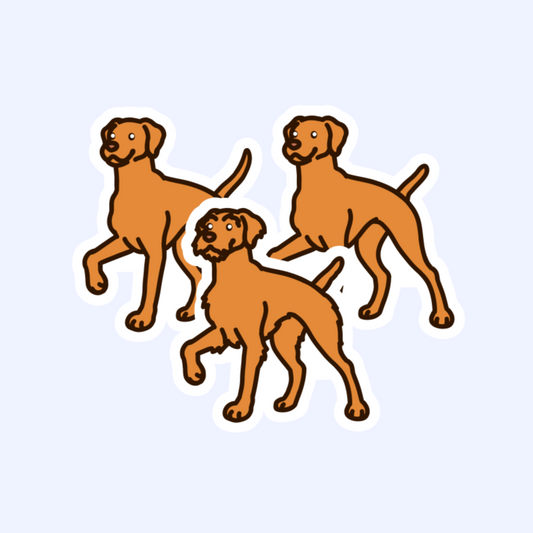 Hungarian Vizsla Dog - 3" Pointer Dog Sticker