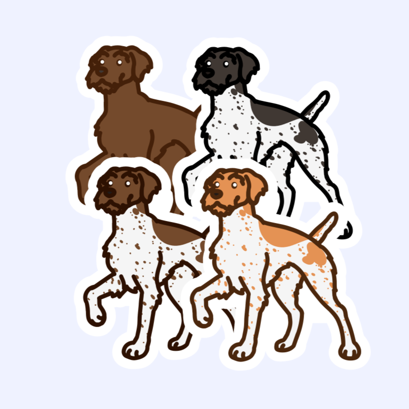 German Wirehair Pointer Sticker Pudelpointer Pointing Griffon - 3" Pointer Dog Sticker
