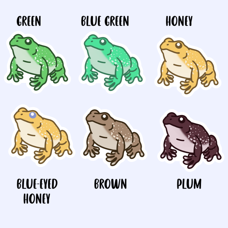 White's Tree Frog Dumpy Tree Frog 3" Sticker Juno Prints