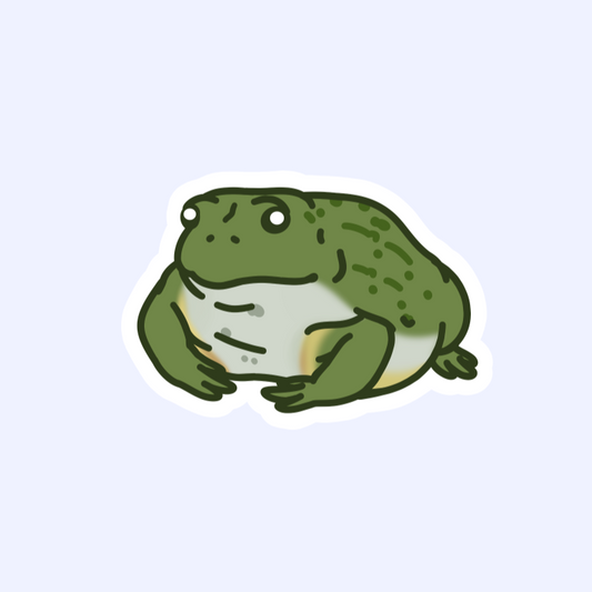 African Bullfrog - Pixie Bullfrog 3" Sticker