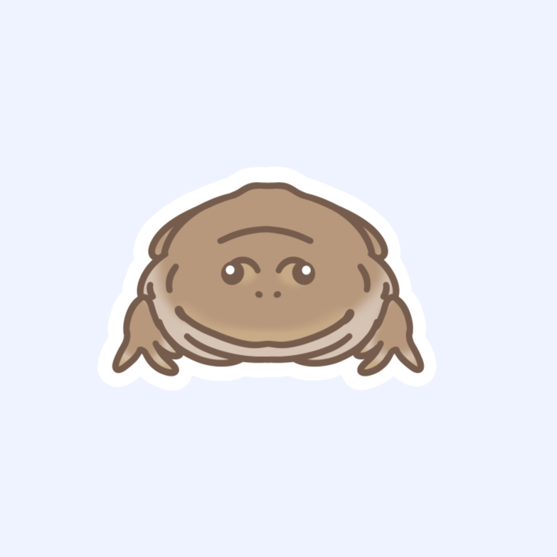 Budgett's Frog - Funny Pancake Frog 3" Sticker