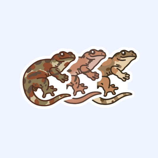 Chahoua Gecko - 3" Mniarogekko chahoua, Short-Snouted New Caledonian Gecko, Bavay's Giant, Mossy Prehensile-Tailed Gecko Sticker