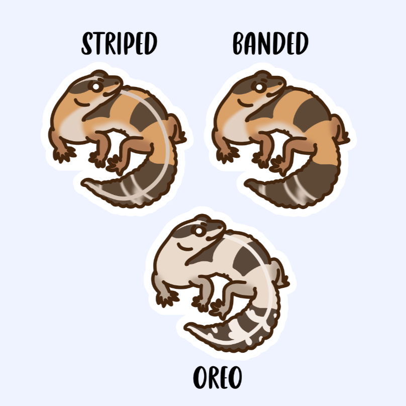 African Fat-Tailed Gecko - 3" Sticker