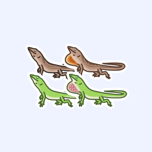 Anoles - 3" Green and Brown Female and Male Anoles Sticker