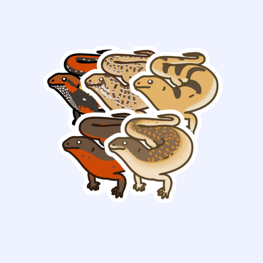 Skinks - 3" Fire, Ocellated, Peter's Banded, Red-Sided, or Schneider's Skink Sticker