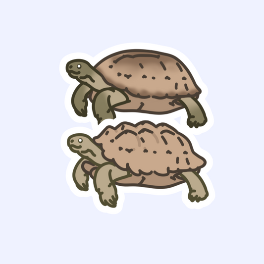Sulcata or Russian Tortoise - 3" Land Turtle Sticker