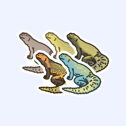 Uromastyx - 3" Spiny-Tailed, Uromastyces, Mastigures, Dabb Lizard Sticker