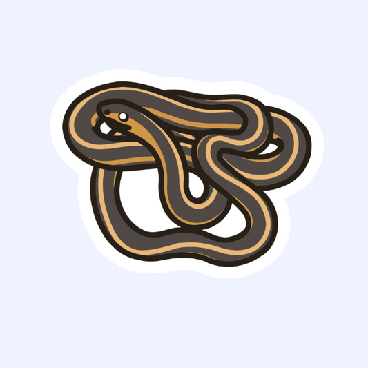 Eastern Garter Snake - 3" Small Colubrid Sticker