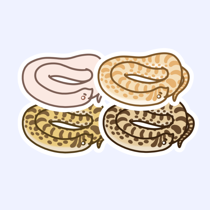 Eastern Hognose Snake - 3" Small Colubrid Western Hognose Puff Adder Hoggy Sticker