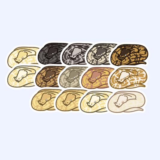 Normal Pattern Ball Python - 3" Royal Python Sticker