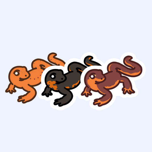 Newts! - 3" Eastern Spotted, Fire Belly, or California Newt Salamander Sticker