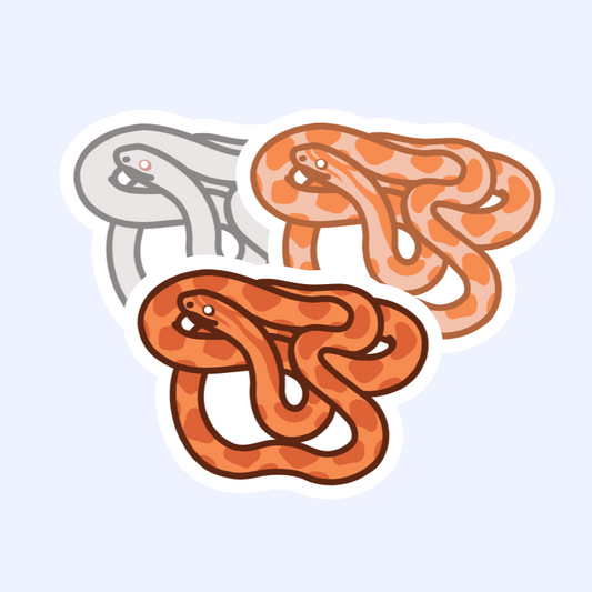 Corn Snake - 3" Small Colubrid Red Rat Snake Sticker