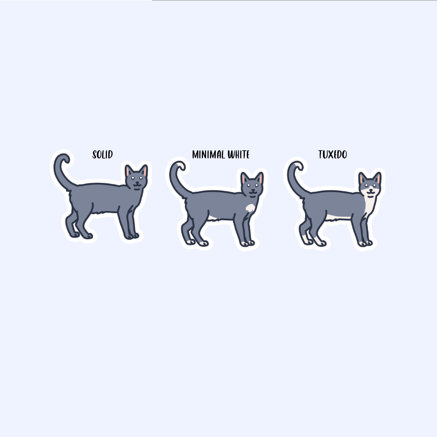 Blue Shorthair Cats - 3" Cat Stickers