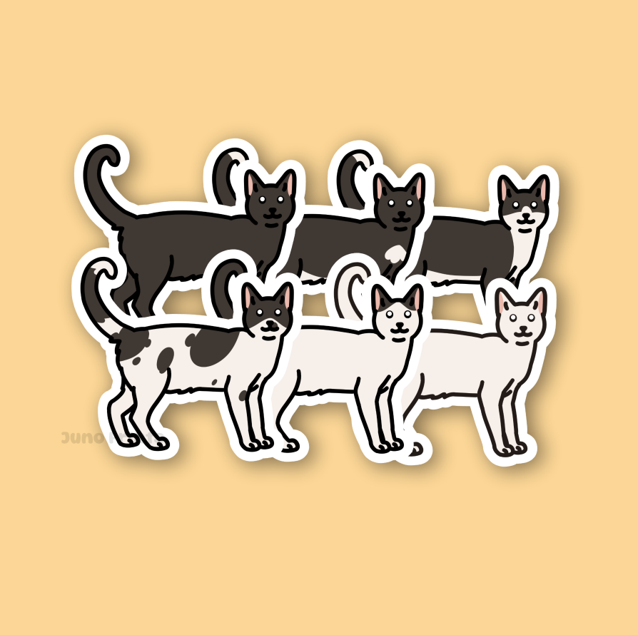 Black and White Shorthair Cats - 3" Sticker
