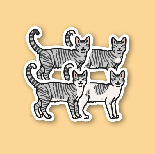 Silver Tabby Shorthair Cats - 3" Cat Stickers