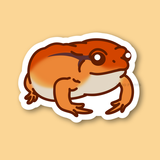Tomato Frog! - 3" Dyscophus antongilii Frog Sticker or 2" Keychain