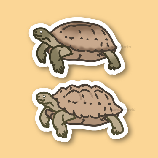 Sulcata, African Spurred Tortoise or Russian Tortoise - 3" Land Turtle Sticker