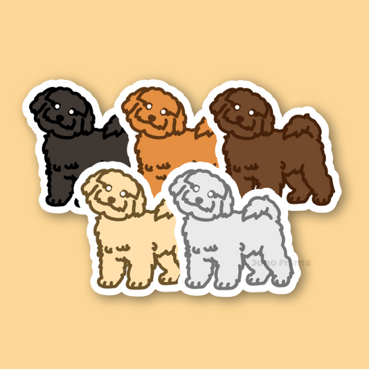 Toy Poodle Miniature Poodle/Doodle, Bichon Frise - 3" Waterproof Sticker or 2" Keychain Non-Sporting/Toy