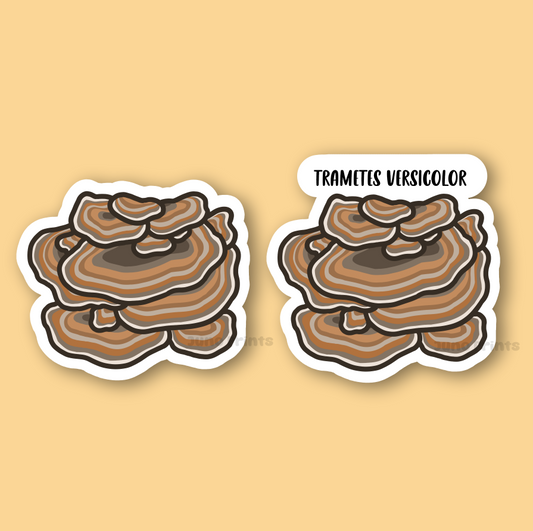 Turkey Tail Mushroom Sticker - 3" Waterproof Mushroom Sticker - Trametes Versicolor