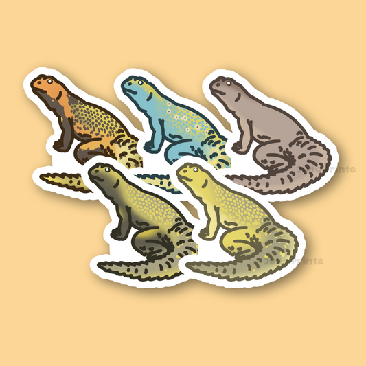 Uromastyx - 3" Spiny-Tailed, Uromastyces, Mastigures, Dabb Lizard Sticker