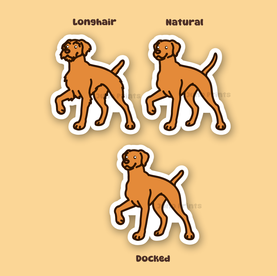 Hungarian Vizsla Dog - 3" Pointer Dog Sticker or 2" Keychain Sporting