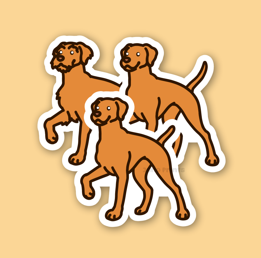 Hungarian Vizsla Dog - 3" Pointer Dog Sticker or 2" Keychain Sporting