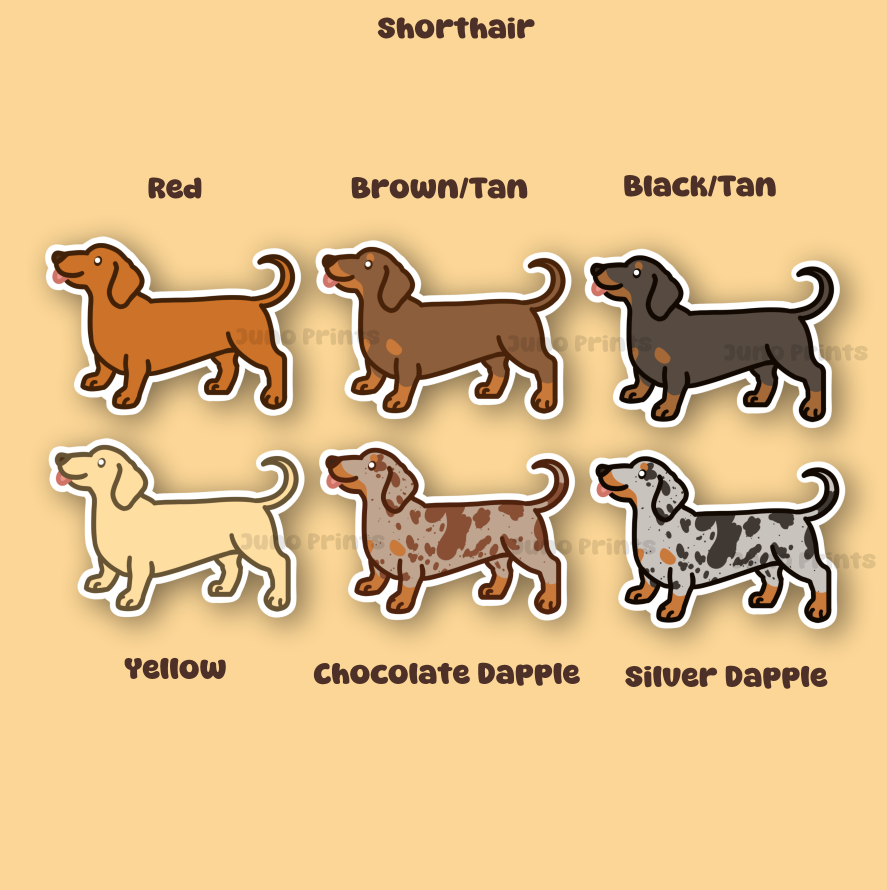 Dachshund, Wiener Dog- 3" Weenie Dog Doxie Sausage Dog Sticker or 2" Keychain Hound