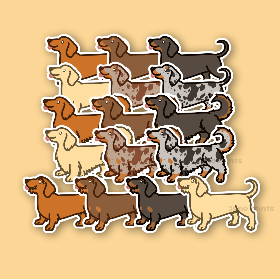 Dachshund, Wiener Dog- 3" Weenie Dog Doxie Sausage Dog Sticker or 2" Keychain Hound