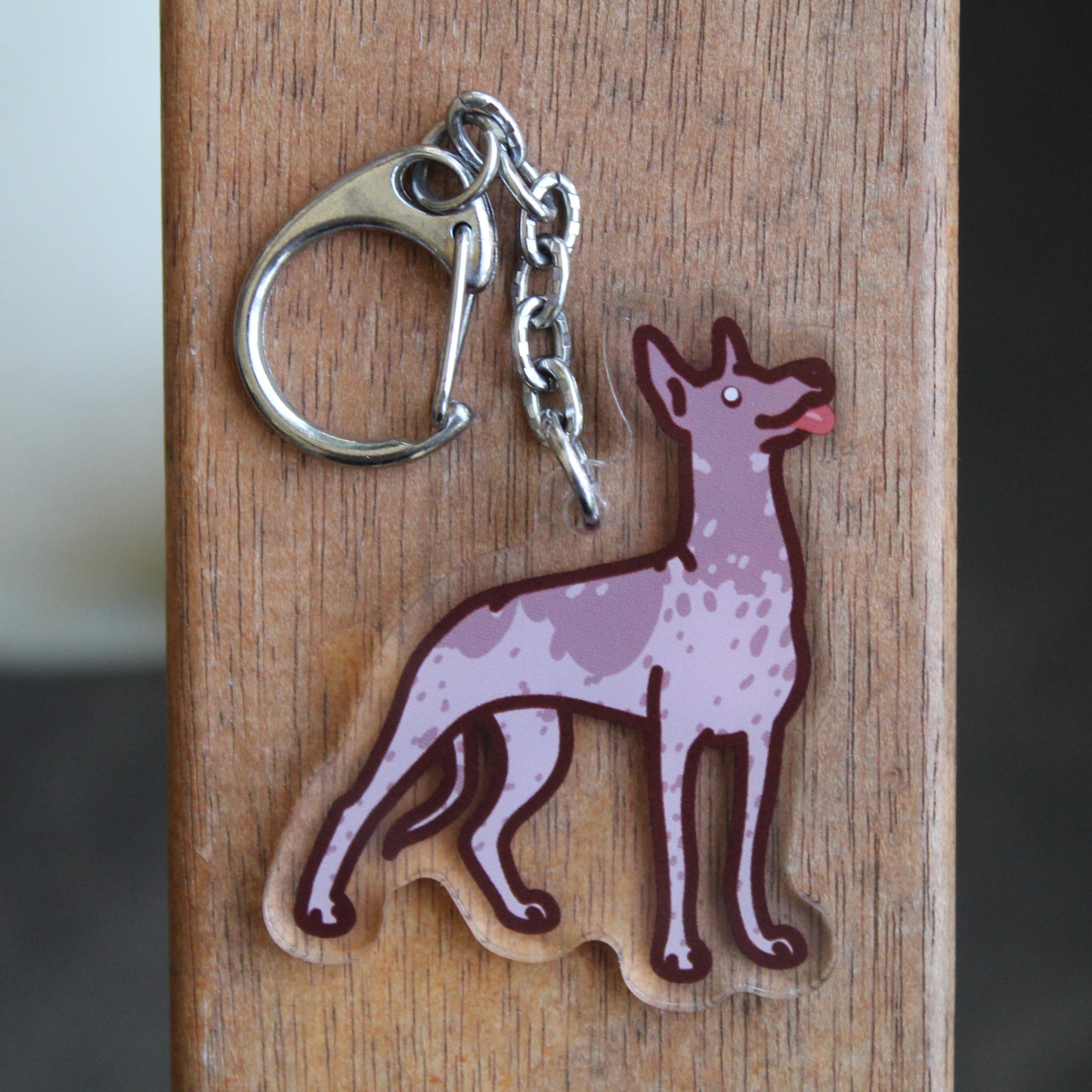 Xoloitzcuintle/Xoloitzquintle/Xoloitzcuintli Mexican Hairless Dog - Xolo Dog Sticker - 3" Waterproof Sticker or 2" Keychain Non-Sporting