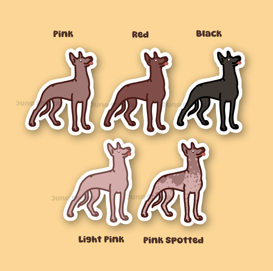 Xoloitzcuintle/Xoloitzquintle/Xoloitzcuintli Mexican Hairless Dog - Xolo Dog Sticker - 3" Waterproof Sticker or 2" Keychain Non-Sporting