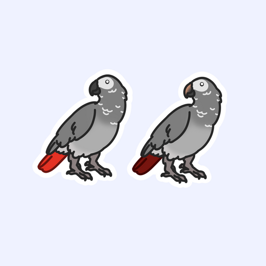 African Grey Parrot - 3" Parrot Sticker