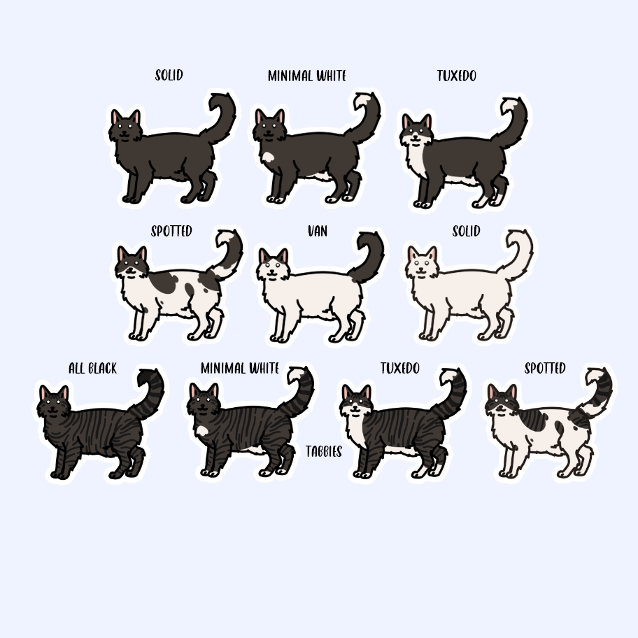 Black and White Tabby Cat