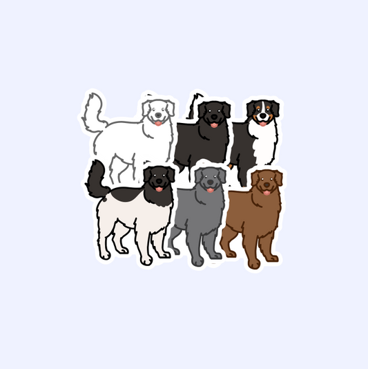 Bernese Mountain Dog or Newfoundland or Great Pyrenees Sticker - 3" Waterproof Sticker