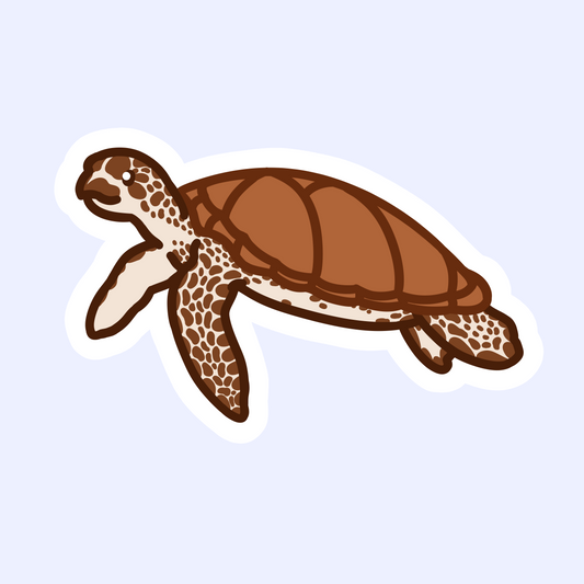 Loggerhead Turtle Sticker - 3" or 4" Waterproof Sticker - 20% of Profits Donated
